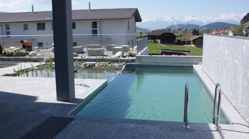 kleiner Naturpool